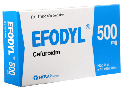 Efodyl – Thuốc kháng sinh