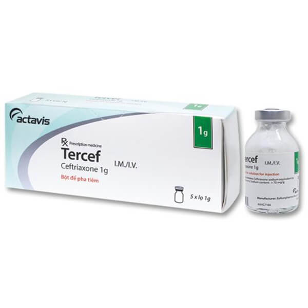 Tercef – Thuốc kháng sinh