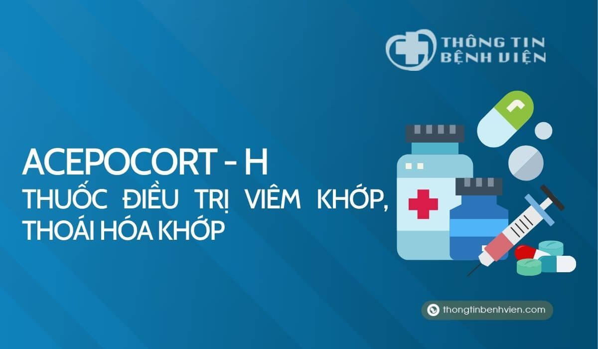 Acepolcort-H: Thuốc điều trị viêm khớp, thoái hóa khớp