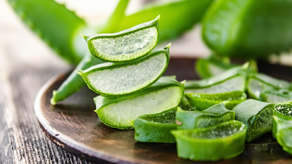 Nhựa nha đam có thể xoa dịu nhanh cơn đau rát, làm lành thương tổn da cải thiện tình trạng sưng viêm nhiễm hay đau rát hậu môn