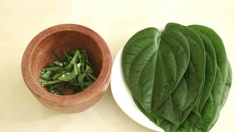 trong lá trầu không có tính kháng viêm khá hiệu quả trong chữa sâu răng tại nhà