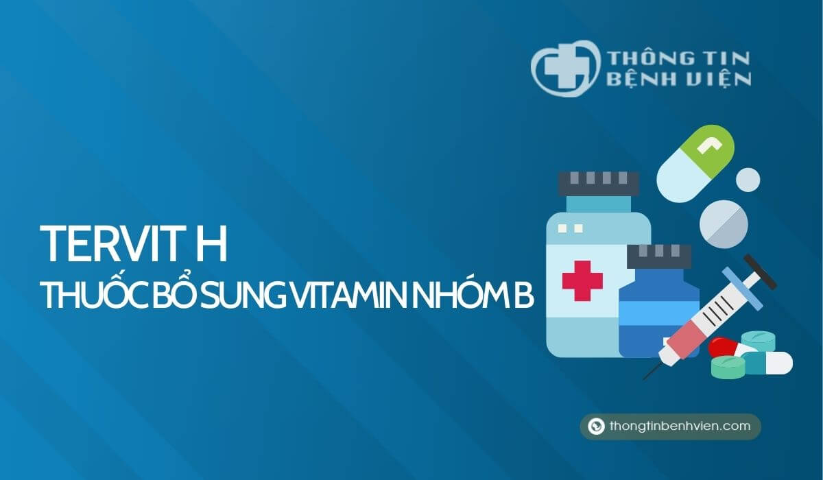 Tervit H – Thuốc bổ sung vitamin nhóm B