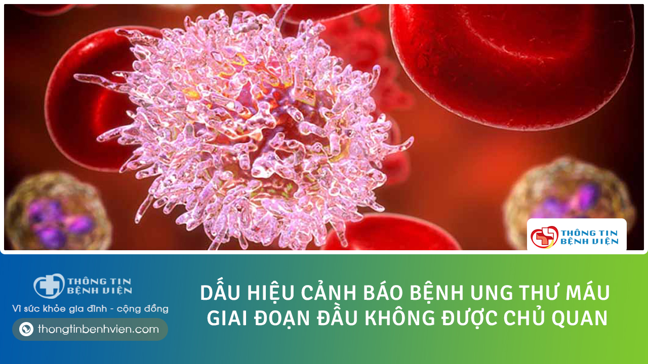 Dấu hiệu cảnh báo bệnh ung thư máu giai đoạn đầu không được chủ quan