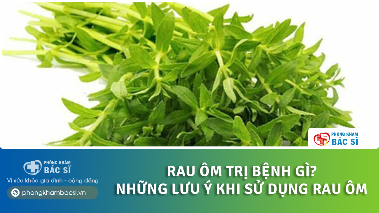 rau ôm trị bệnh gì