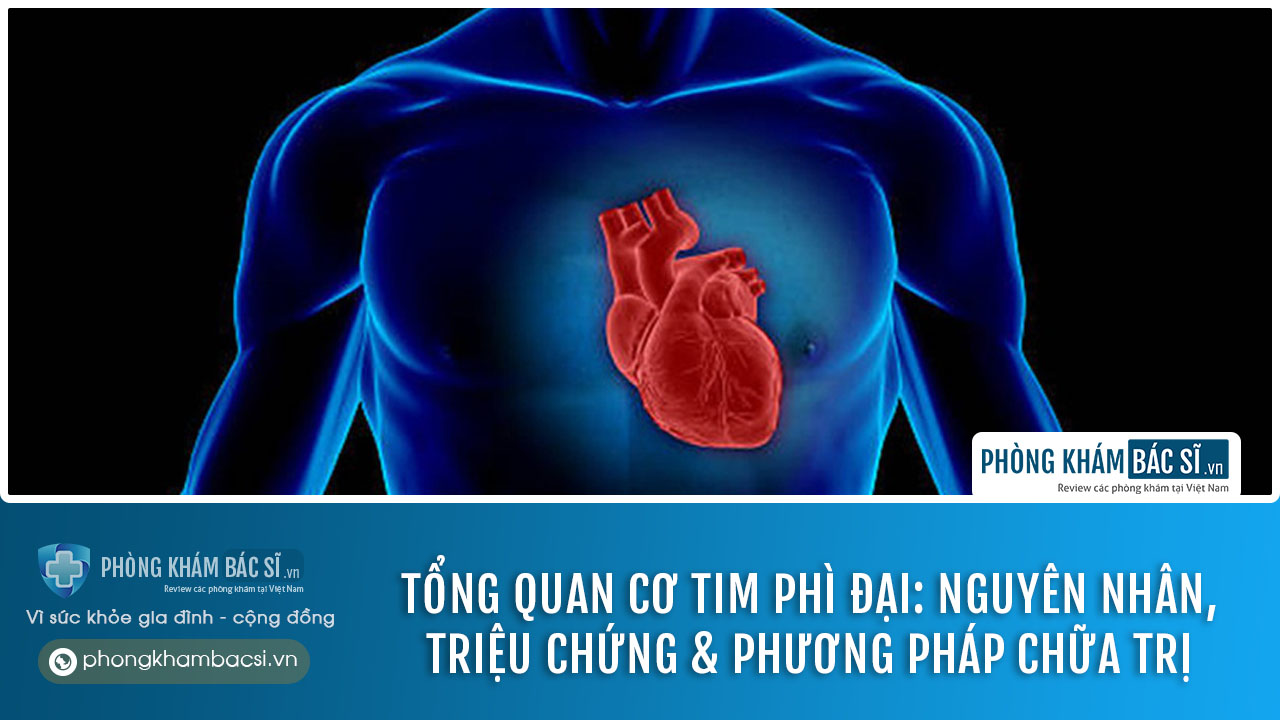 cơ tim phì đại