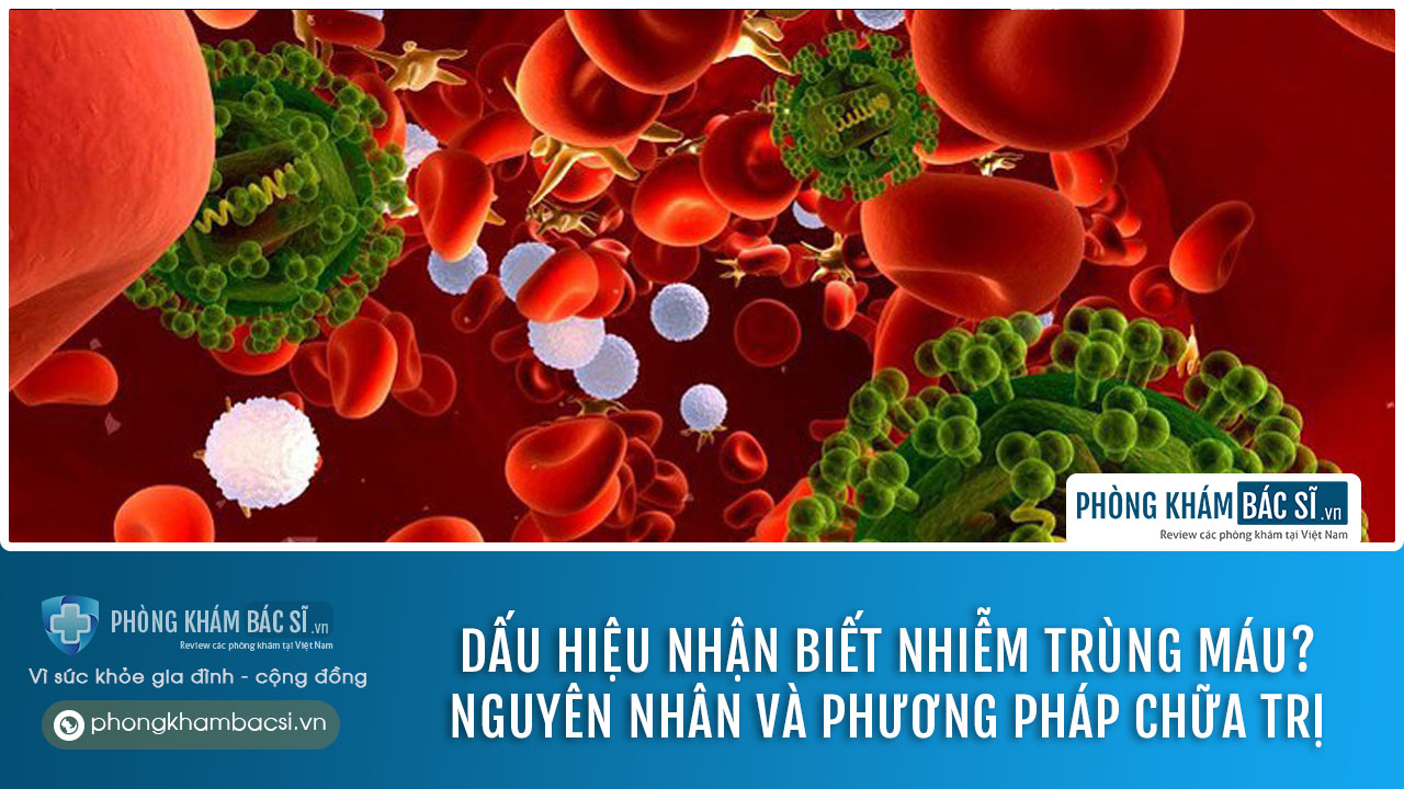 chữa trị nhiễm trùng máu