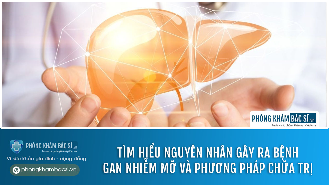 chữa trị gan nhiễm mỡ