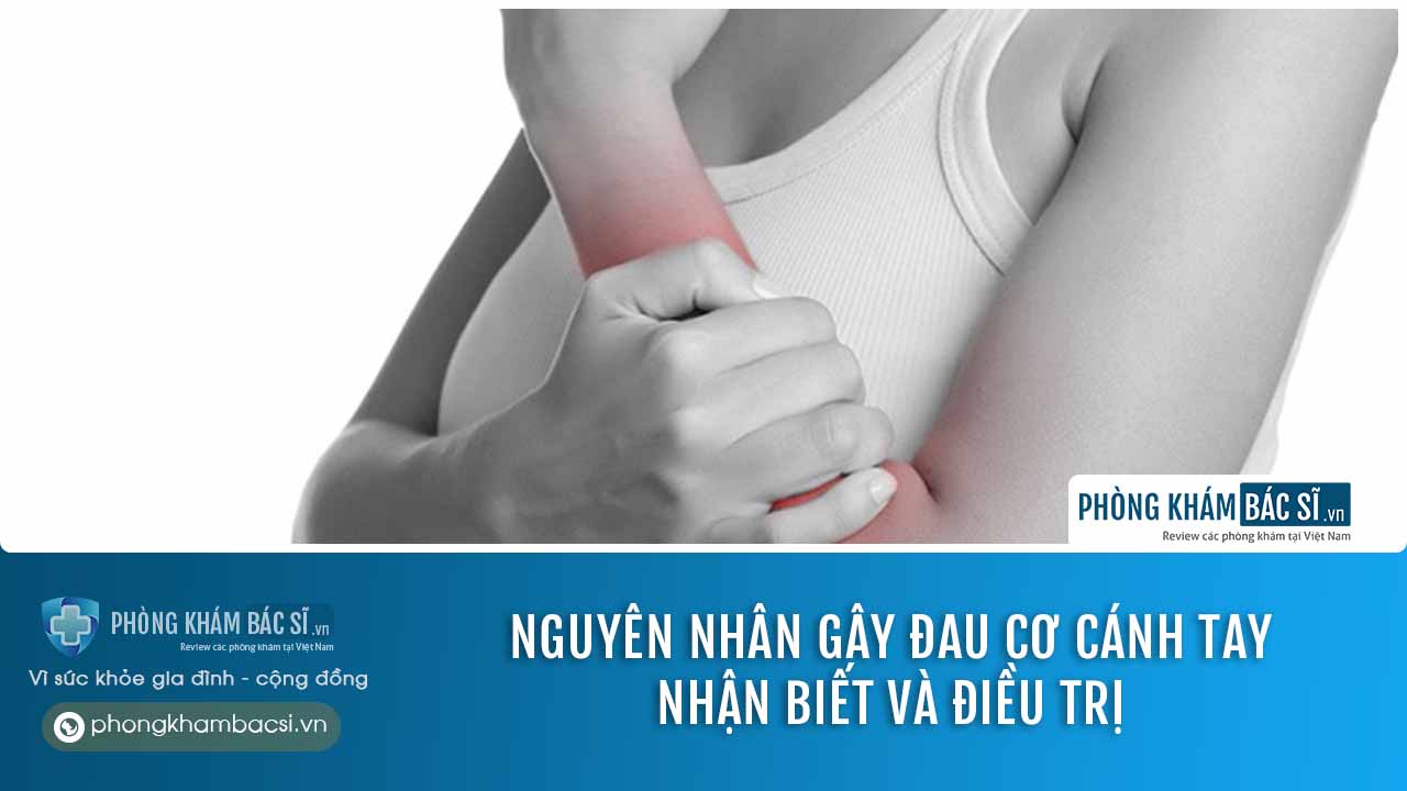 Tổng quan đau cơ cánh tay: Nguyên nhân, Triệu chứng & Phương pháp chữa trị