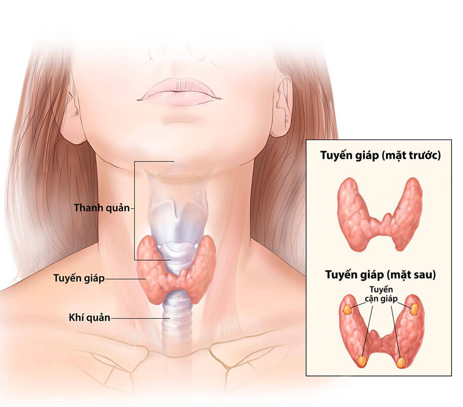 Bệnh suy tuyến cận giáp