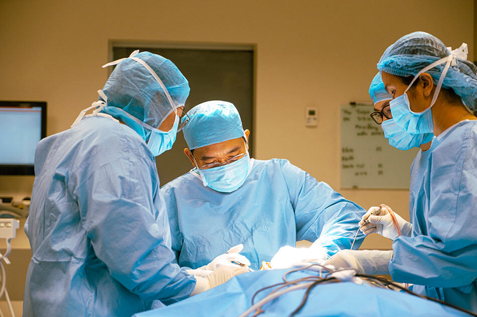 Bệnh gãy xương hàm