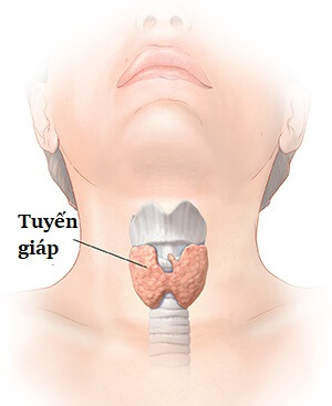 tuyến giáp