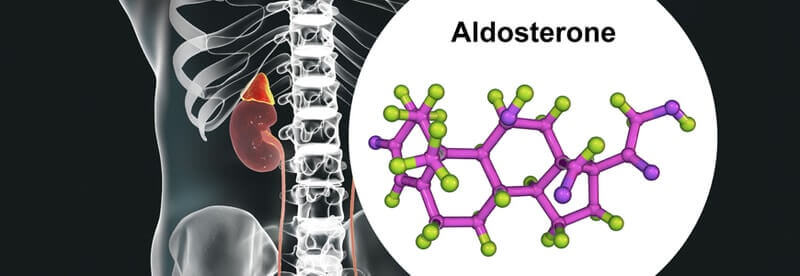 cường aldosteron