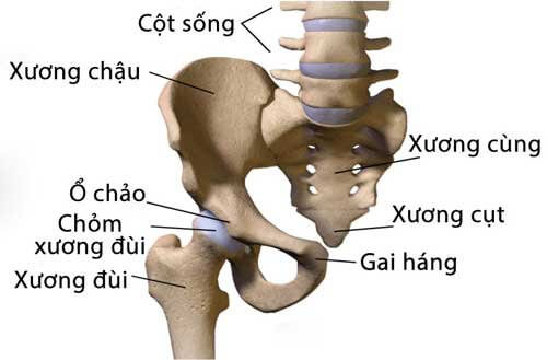 đau xương cụt