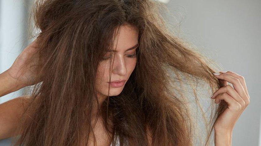 Tóc hư tổn xơ rối phải làm sao? Nguyên nhân và cách chữa trị hiệu quả