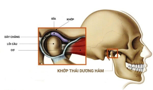 khớp thái dương hàm