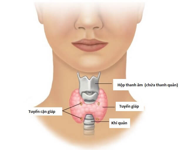 u tuyến giáp