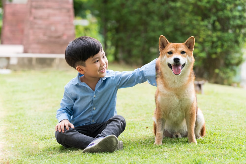 chữa trị sốt thương hàn