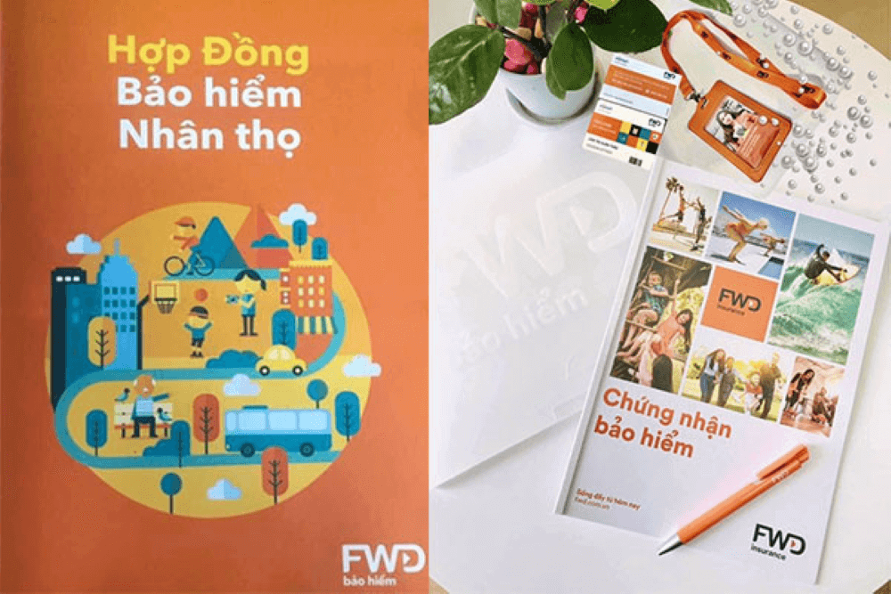 Quy tắc, trình tự, thủ tục hủy hợp đồng bảo hiểm nhân thọ FWD