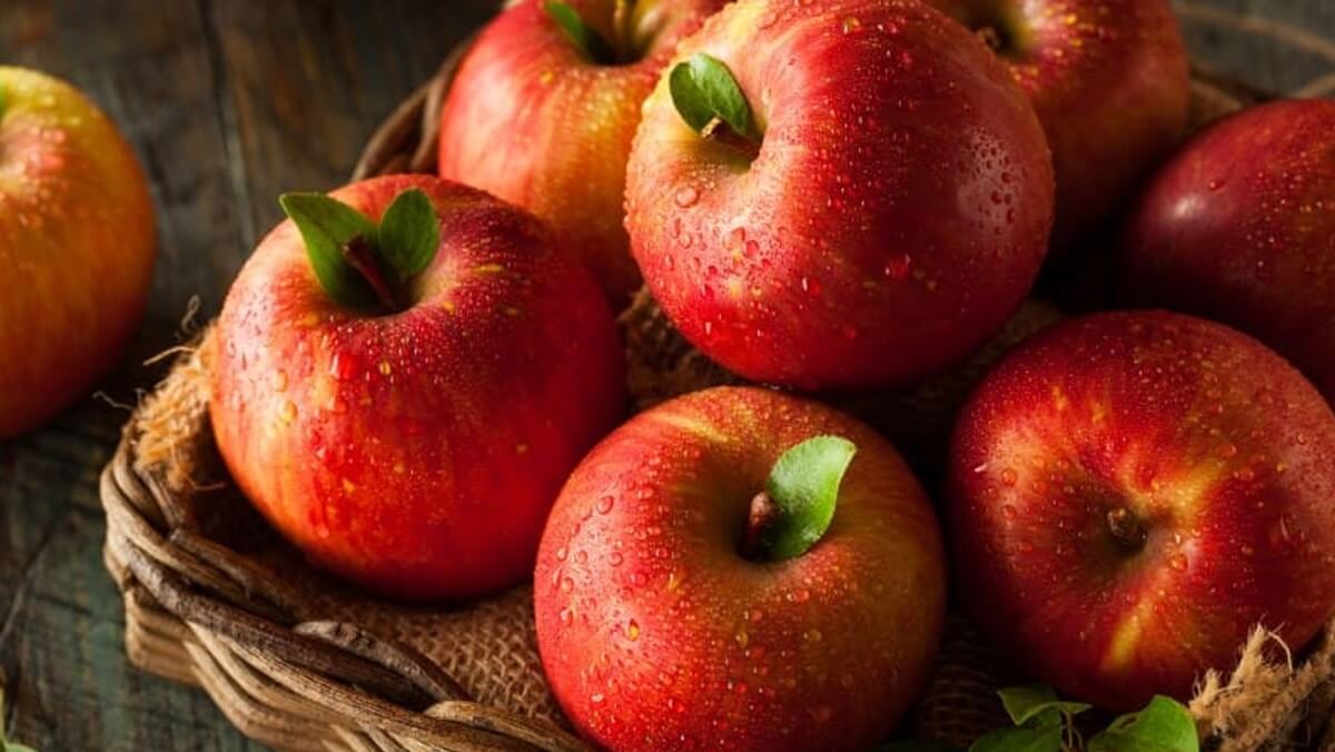 Một quả táo chứa bao nhiêu calo?