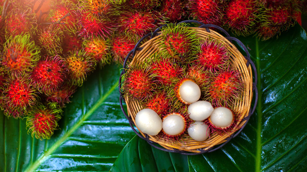 Chôm chôm bao nhiêu calo? Bật mí các món ăn giảm cân với chôm chôm