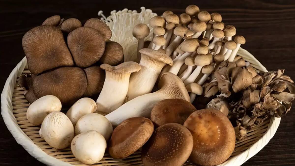 100g nấm chứa bao nhiêu calo? Ăn nấm có béo không?