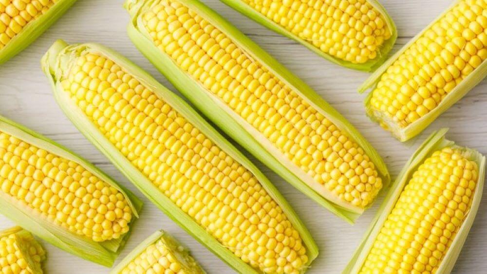 Bắp luộc bao nhiêu calo? Lợi ích của việc ăn bắp luộc