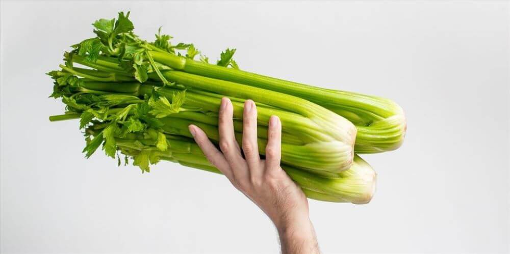 Cần tây bao nhiêu calo? Cách uống nước ép cần tây giảm cân