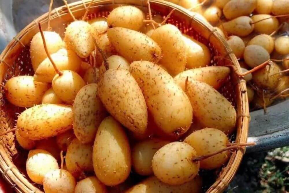 Củ lùn bao nhiêu calo? Cách ăn củ lùn không gây tăng cân
