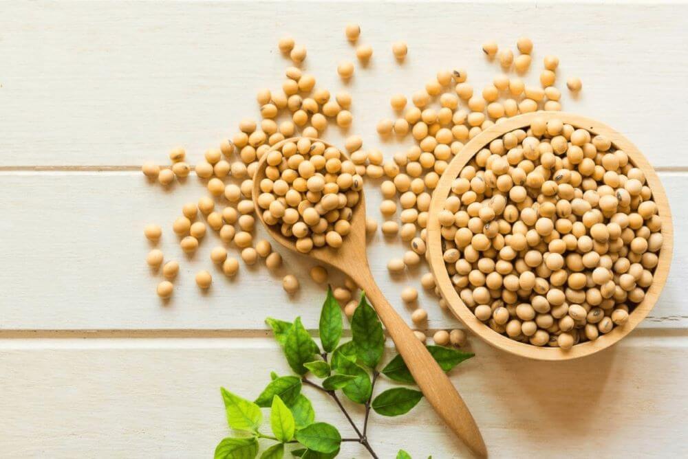 100g đậu nành bao nhiêu calo? Các lợi ích khi ăn đậu nành