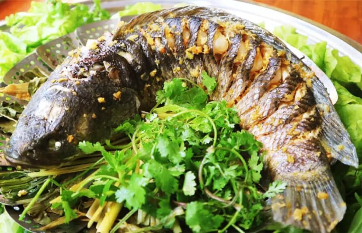 Cá lóc (cá quả, cá chuối) bao nhiêu calo? Ăn có béo không?