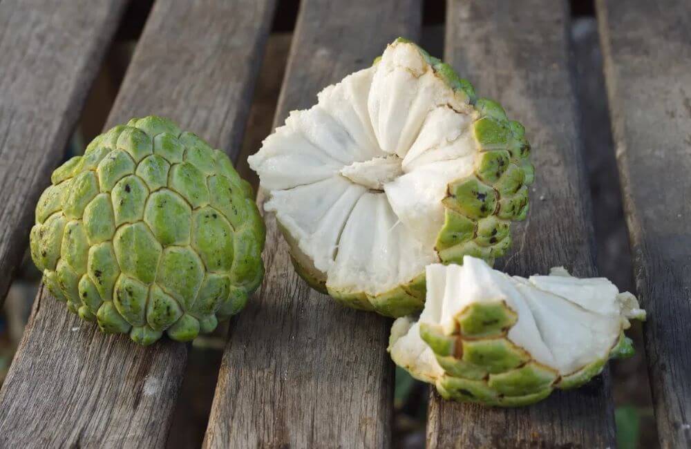 Mãng cầu (na) bao nhiêu calo? Ăn mãng cầu có giảm cân không?