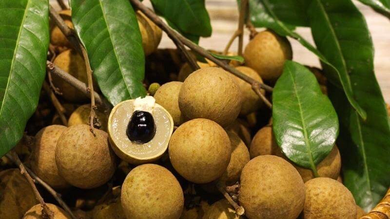 100 gam nhãn chứa bao nhiêu calo? Ăn nhãn có bị béo không?