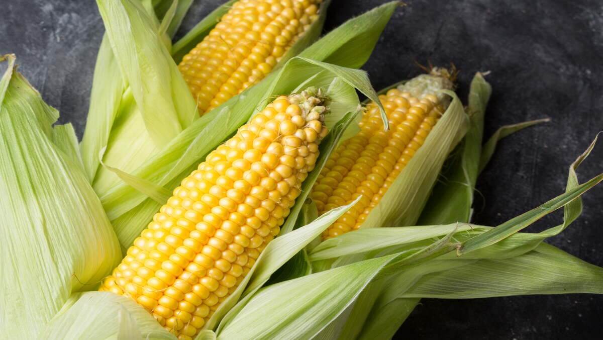 Bắp (ngô) Mỹ bao nhiêu calo? Ăn bắp (ngô) Mỹ có giảm cân không?