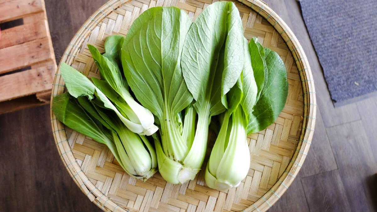 Cải thìa bao nhiêu calo? Các món ngon từ cải thìa giúp giảm cân hiệu quả