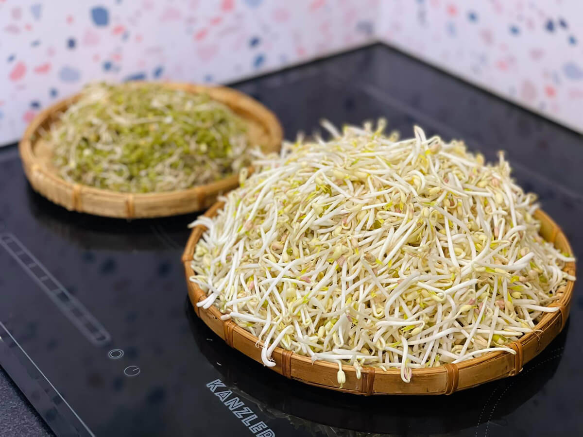 100g giá đỗ bao nhiêu calo? Lưu ngay công thức chế biến giá đỗ ngon tại nhà