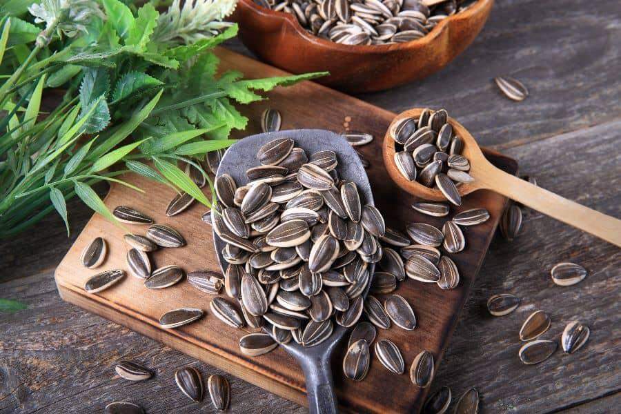100g hạt hướng dương bao nhiêu calo? Những lưu ý khi ăn hạt hương dương