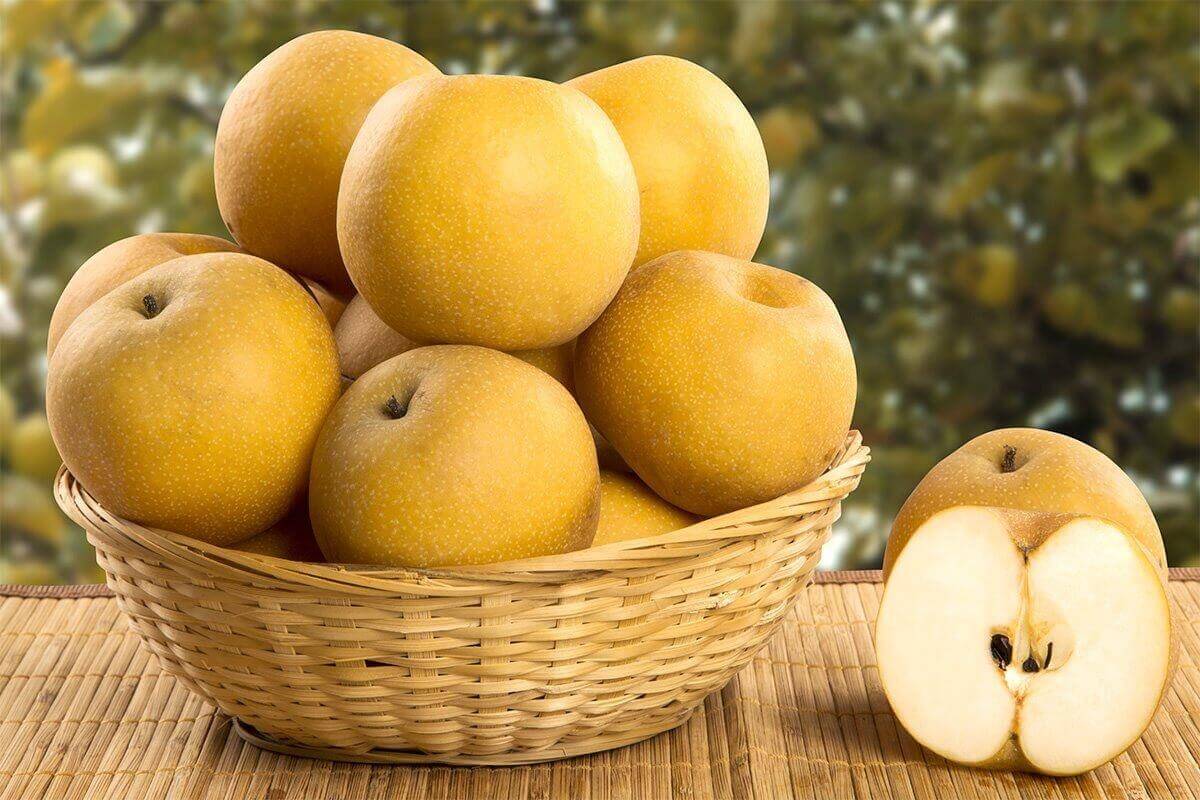 Lê bao nhiêu calo? Cách ăn lê giảm cân