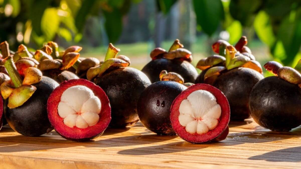 Măng cụt bao nhiêu calo? Những lưu ý khi ăn măng cụt giảm cân