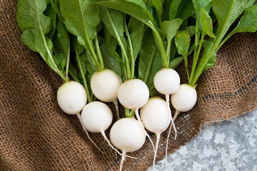 Củ cải trắng