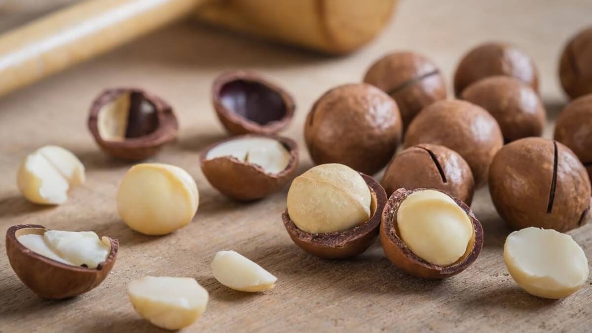 Hạt macca bao nhiêu calo? Hàm lượng dinh dưỡng có trong hạt macca