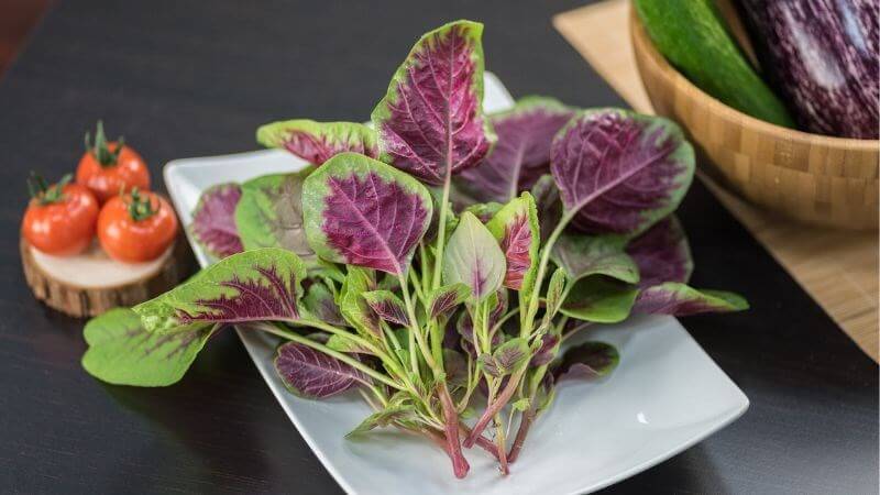 Theo nghiên cứu của Bộ Nông nghiệp Hoa Kỳ (USDA), trong 100g rau dền xanh khoảng 23 -35 calo