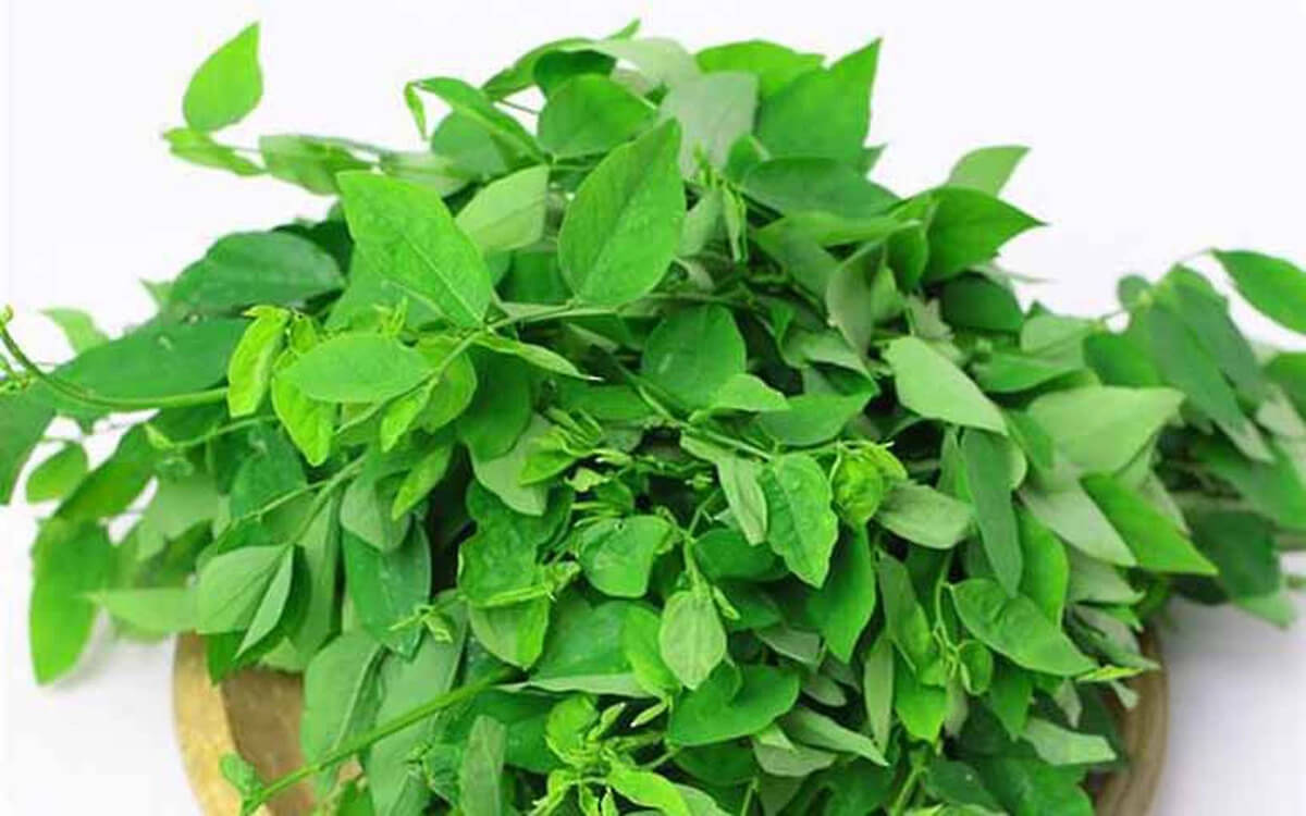 Rau ngót bao nhiêu calo? Các món ăn làm từ rau ngót giúp giảm cân
