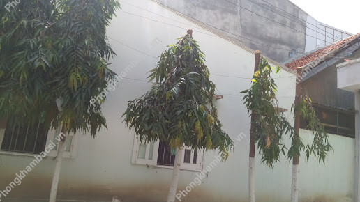 Bệnh Viện Quân Y Ninh Thuận