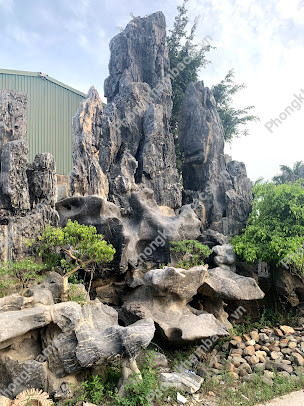 Bệnh Viện Tâm Thần Tỉnh Hà Nam