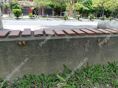 Foot Massage Thúy Hiền