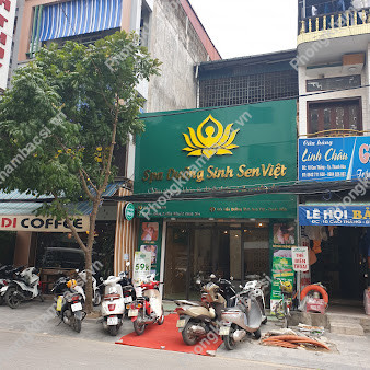 Gội Đầu Dưỡng Sinh Sen Việt