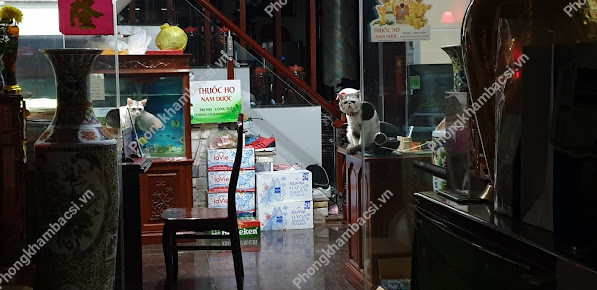 Nhà Thuốc Lâm Phượng Hưng