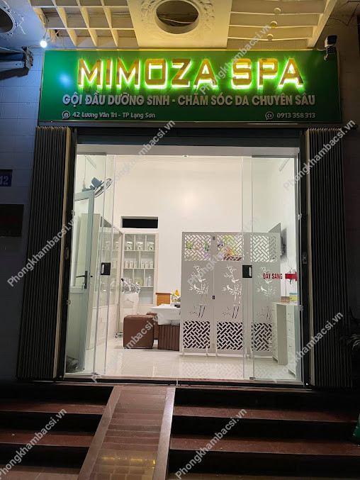 Mimoza Spa