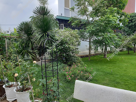 Nha Khoa Nụ Cười Việt