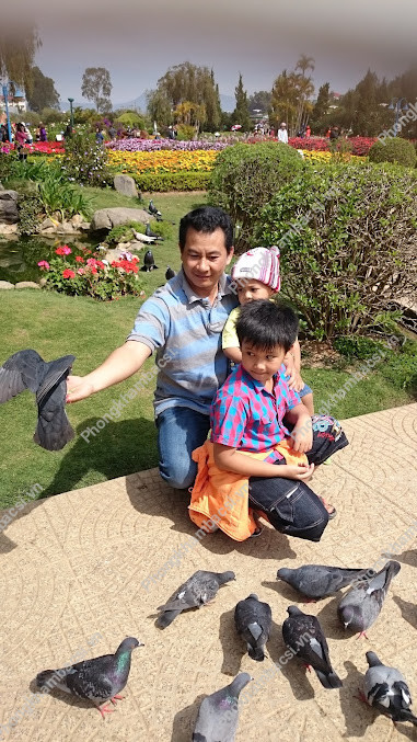 Nha Khoa Thanh Tuyền